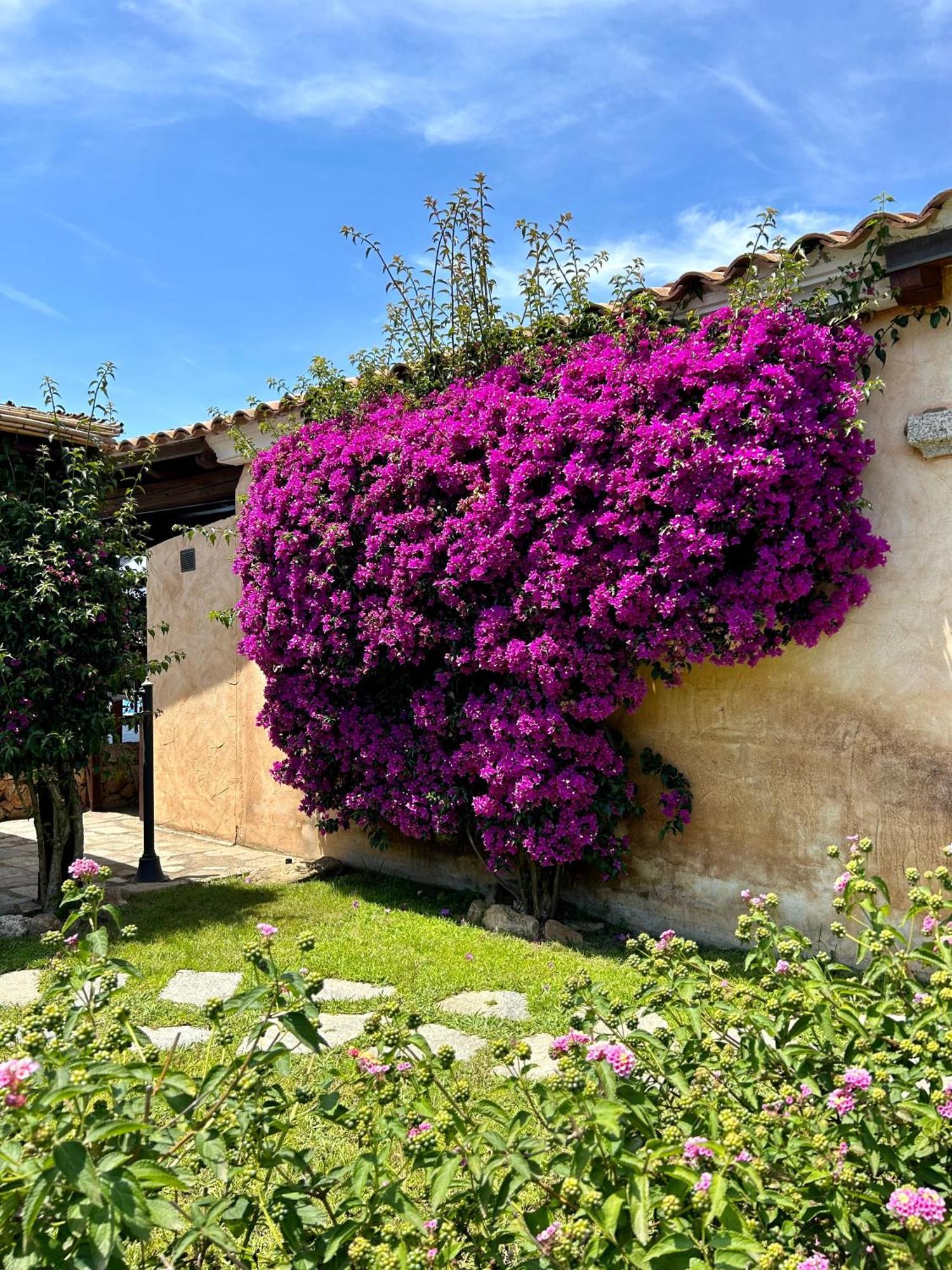 Villa Luca Budoni Exterior photo